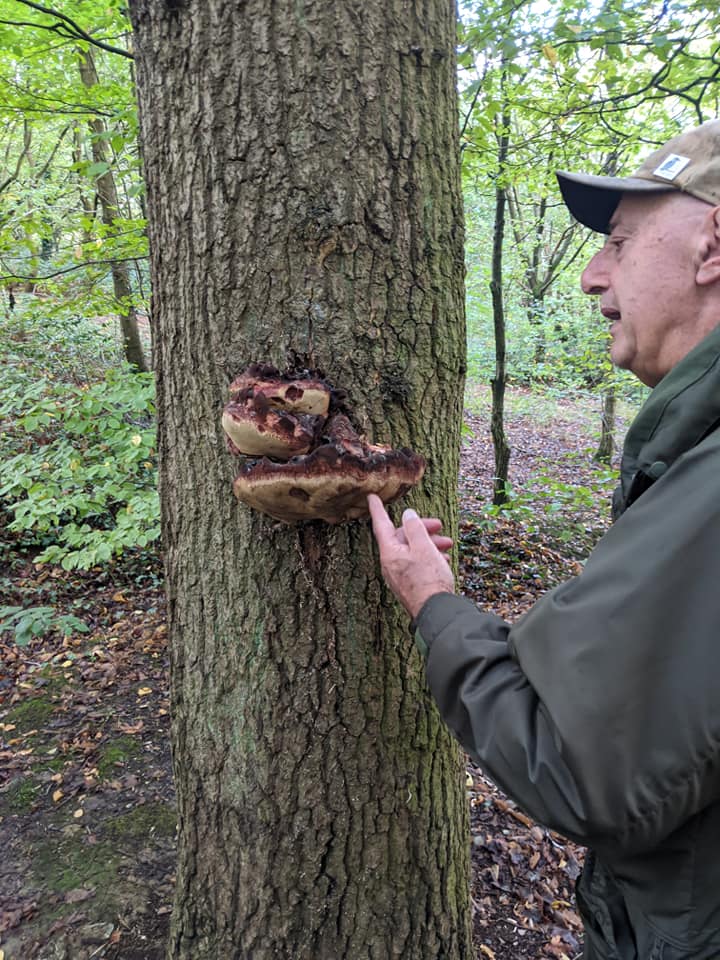 Horsenden Hill Friends of Horsenden