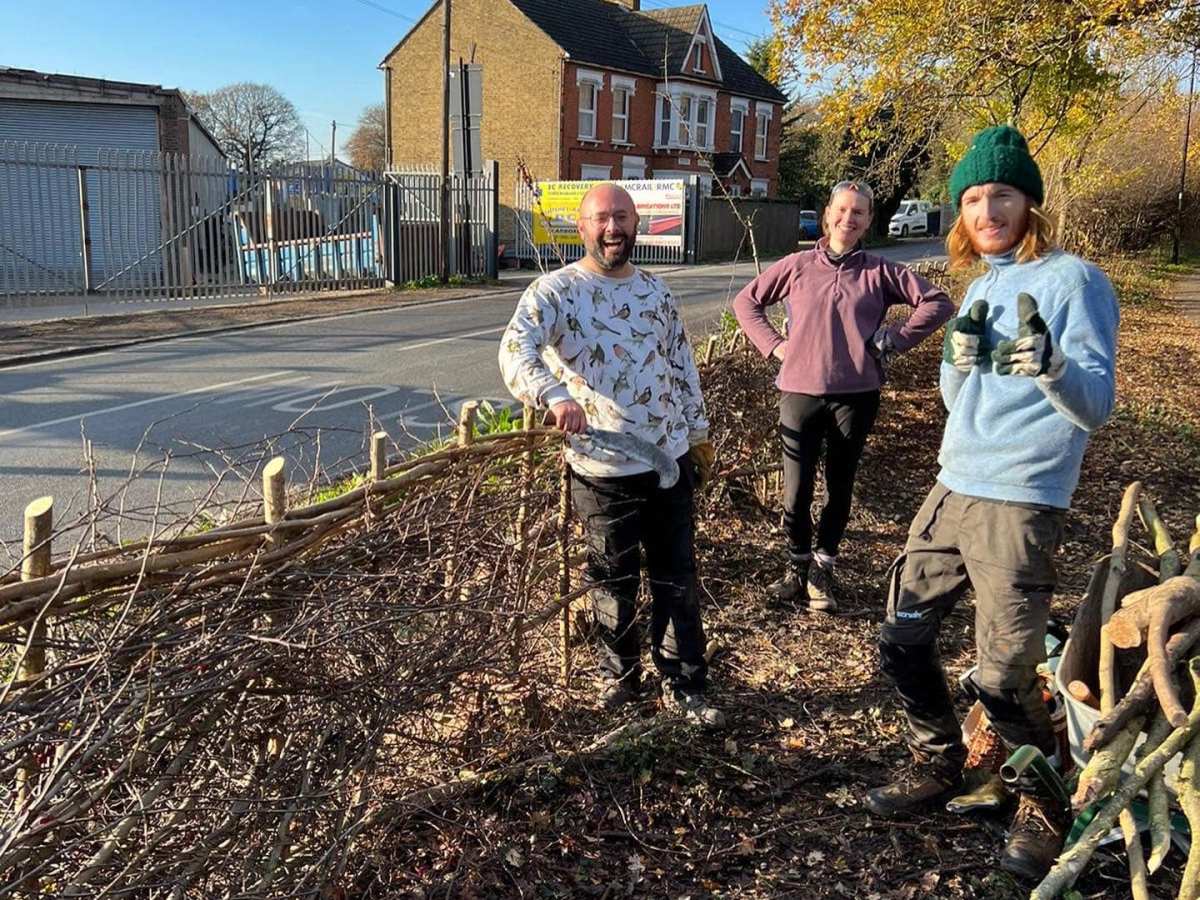 Hedgelaying progress on Horsenden Lane North