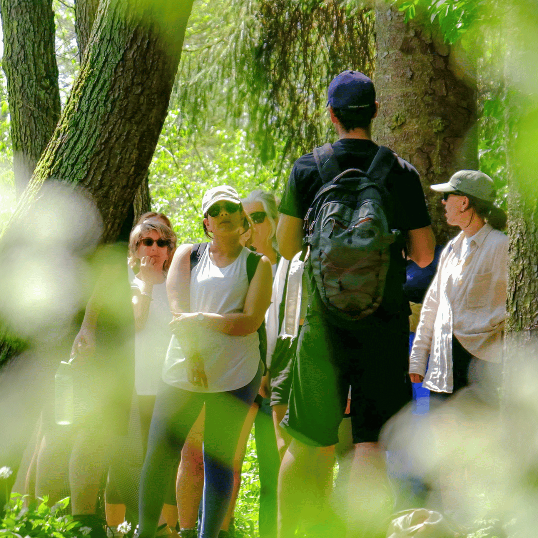 Photo of Totally Wild UK's course leader James teaching to students on a foraging workshop in a woodland